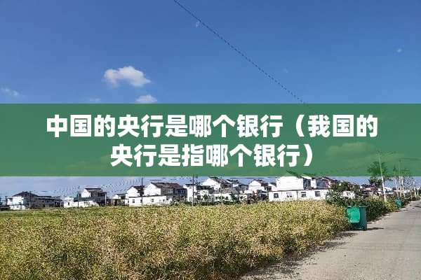 中国的央行是哪个银行（我国的央行是指哪个银行）