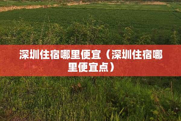 深圳住宿哪里便宜（深圳住宿哪里便宜点）