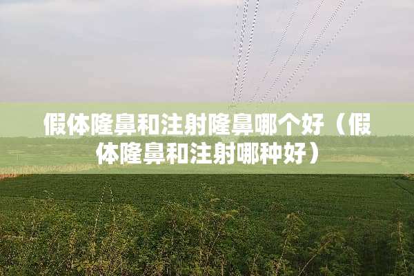 假体隆鼻和注射隆鼻哪个好（假体隆鼻和注射哪种好）