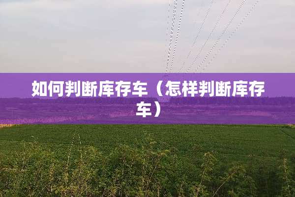 如何判断库存车（怎样判断库存车）