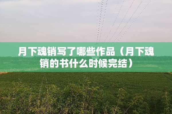 月下魂销写了哪些作品（月下魂销的书什么时候完结）