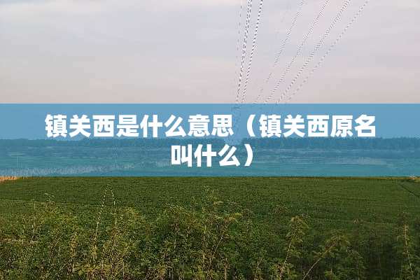 镇关西是什么意思（镇关西原名叫什么）