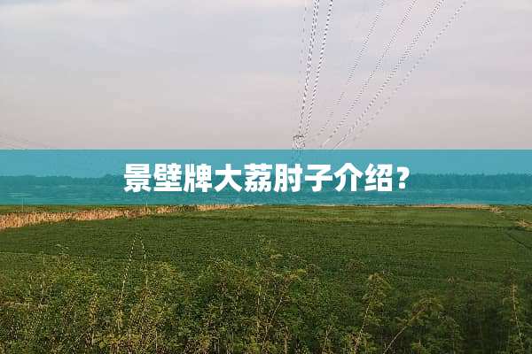 景壁牌大荔肘子介绍？