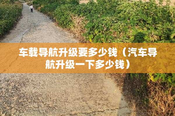 车载导航升级要多少钱（汽车导航升级一下多少钱）