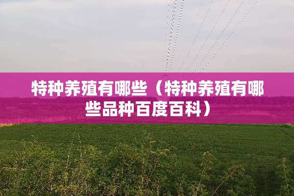 特种养殖有哪些（特种养殖有哪些品种百度百科）