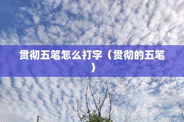 贯彻五笔怎么打字（贯彻的五笔）