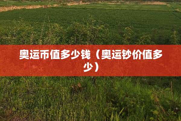 奥运币值多少钱（奥运钞价值多少）