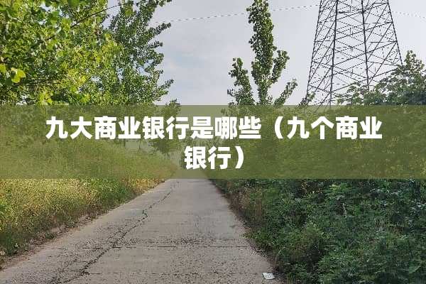 九大商业银行是哪些（九个商业银行）