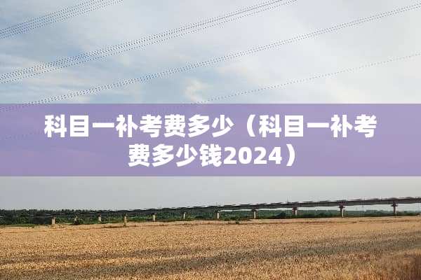 科目一补考费多少（科目一补考费多少钱2024）