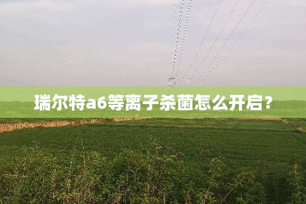 瑞尔特a6等离子杀菌怎么开启？