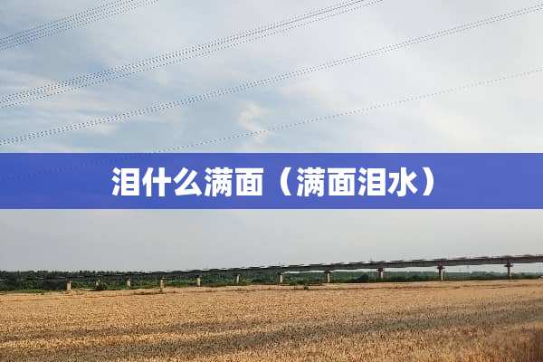泪什么满面（满面泪水）