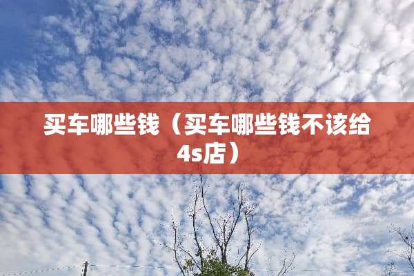 买车哪些钱（买车哪些钱不该给4s店）