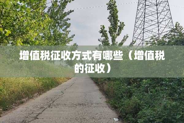 增值税征收方式有哪些（增值税的征收）