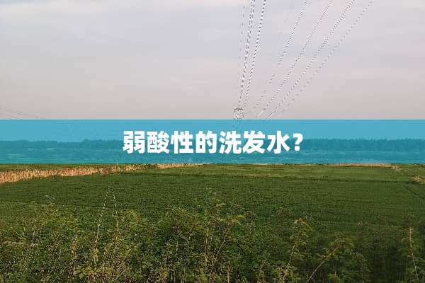 弱酸性的洗发水？
