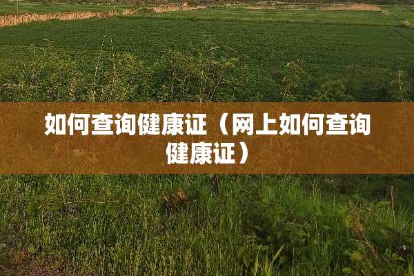 如何查询健康证（网上如何查询健康证）