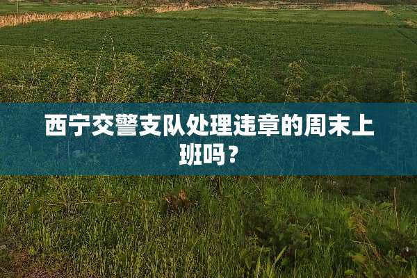 西宁交警支队处理违章的周末上班吗？