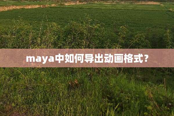 maya中如何导出动画格式？