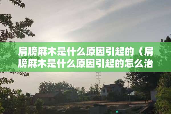 肩膀麻木是什么原因引起的（肩膀麻木是什么原因引起的怎么治疗）
