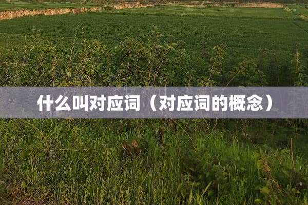 什么叫对应词（对应词的概念）