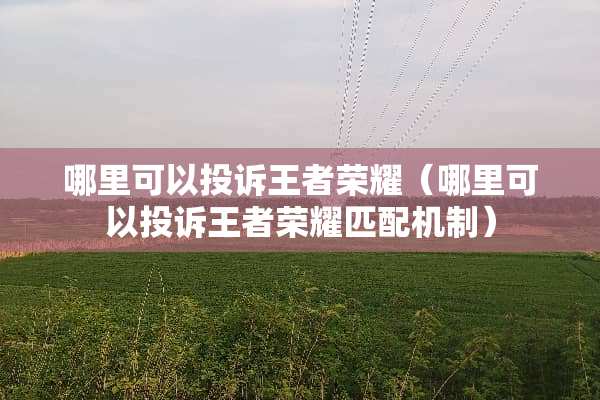 哪里可以投诉王者荣耀（哪里可以投诉王者荣耀匹配机制）