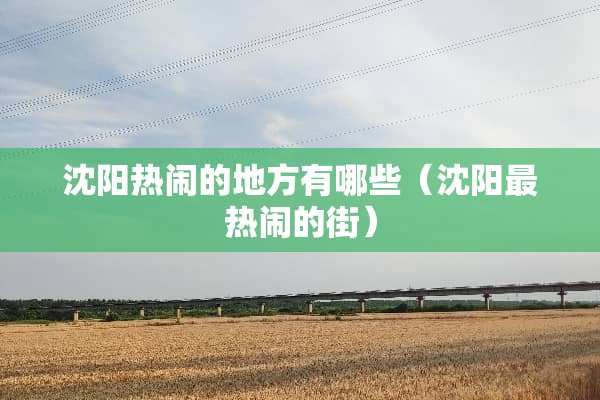 沈阳热闹的地方有哪些（沈阳最热闹的街）