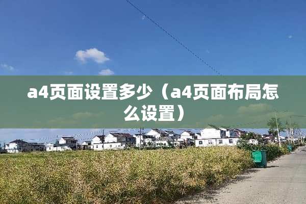 a4页面设置多少（a4页面布局怎么设置）