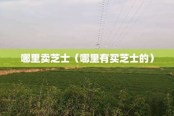 哪里卖芝士（哪里有买芝士的）