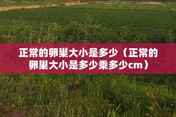 正常的卵巢大小是多少（正常的卵巢大小是多少乘多少cm）