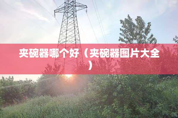 夹碗器哪个好（夹碗器图片大全）