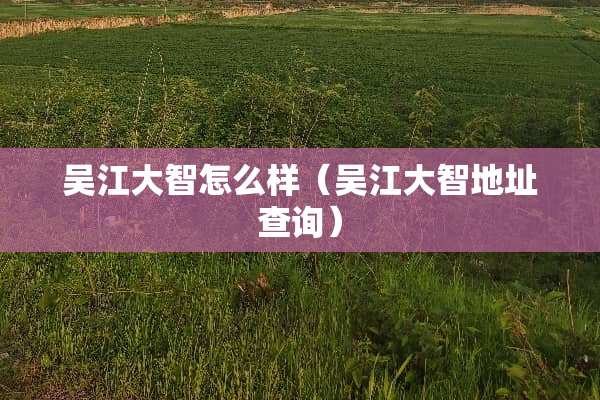 吴江大智怎么样（吴江大智地址查询）