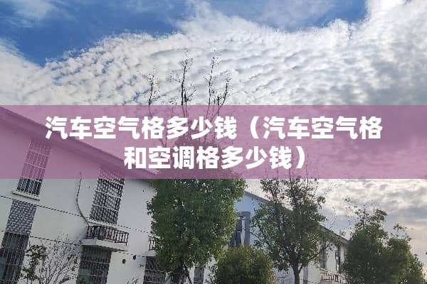 汽车空气格多少钱（汽车空气格和空调格多少钱）