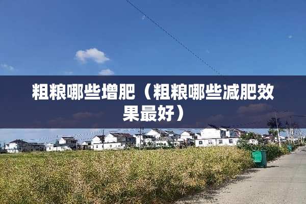 粗粮哪些增肥（粗粮哪些减肥效果最好）