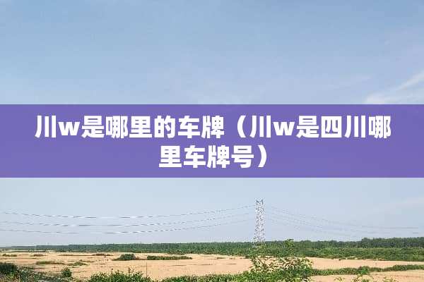 川w是哪里的车牌（川w是四川哪里***）