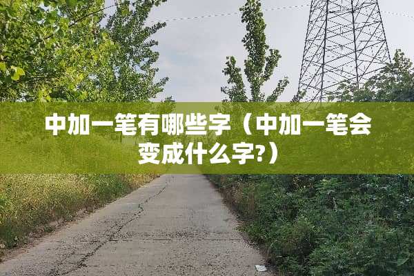 中加一笔有哪些字（中加一笔会变成什么字?）