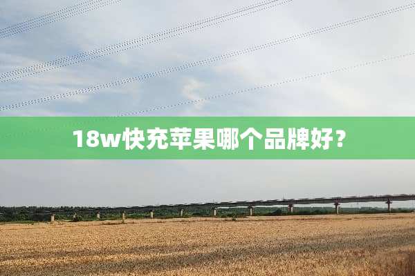 18w快充苹果哪个品牌好？