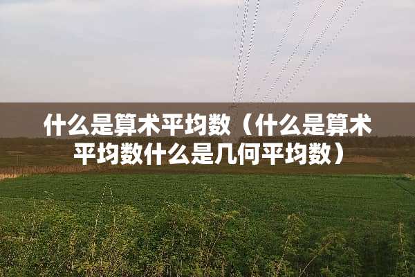什么是算术平均数（什么是算术平均数什么是几何平均数）