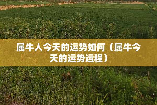 属牛人今天的运势如何（属牛今天的运势运程）