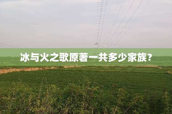 冰与火之歌原著一共多少家族？