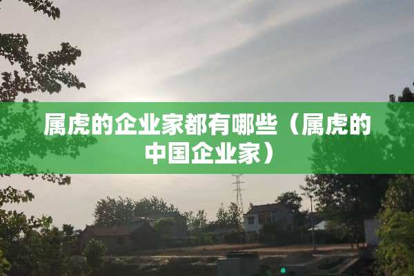 属虎的企业家都有哪些（属虎的中国企业家）