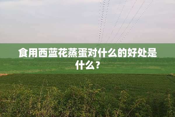 食用西蓝花蒸蛋对什么的好处是什么？