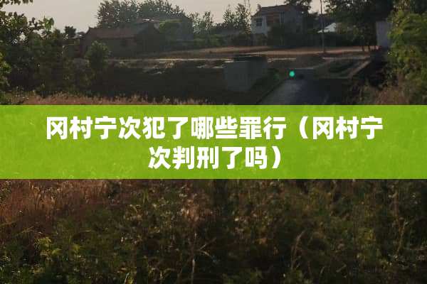 冈村宁次犯了哪些罪行（冈村宁次判刑了吗）
