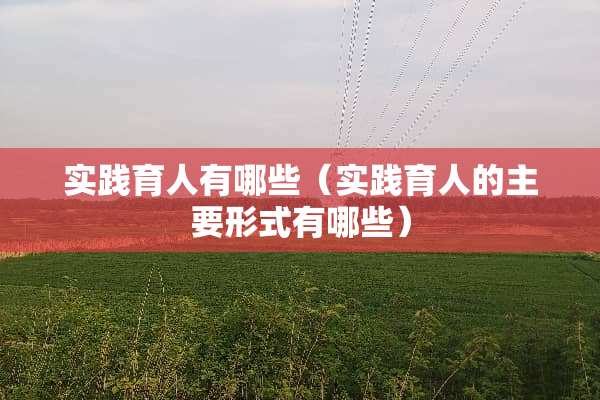 实践育人有哪些（实践育人的主要形式有哪些）