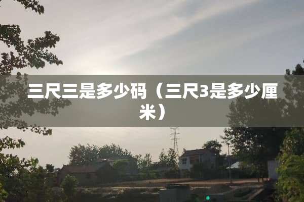 三尺三是多少码（三尺3是多少厘米）