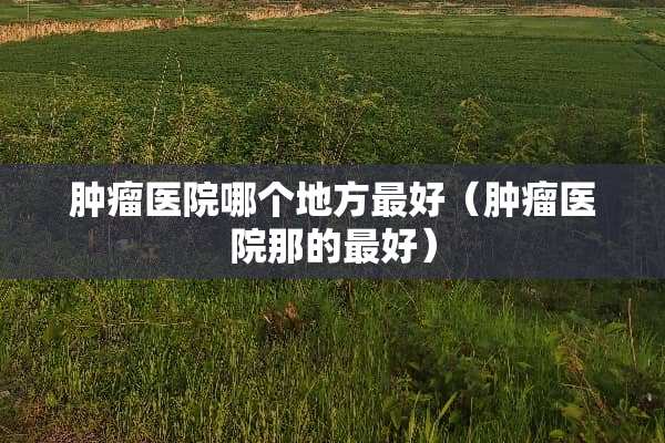 肿瘤医院哪个地方最好（肿瘤医院那的最好）