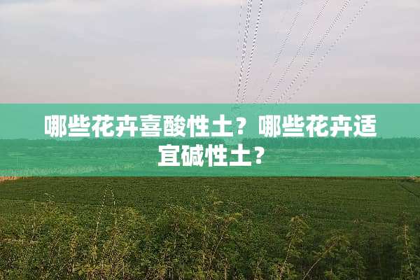 哪些花卉喜酸性土？哪些花卉适宜碱性土？