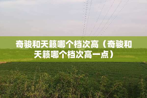 奇骏和天籁哪个档次高（奇骏和天籁哪个档次高一点）