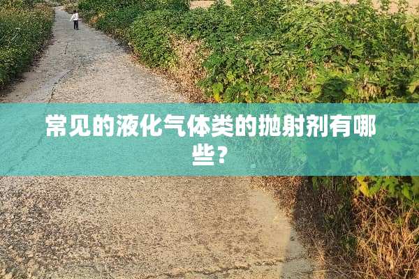 常见的液化气体类的抛射剂有哪些？