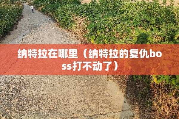 纳特拉在哪里（纳特拉的复仇boss打不动了）