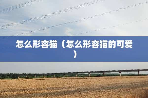怎么形容猫（怎么形容猫的可爱）