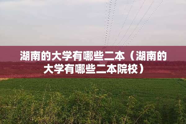 湖南的大学有哪些二本（湖南的大学有哪些二本院校）
